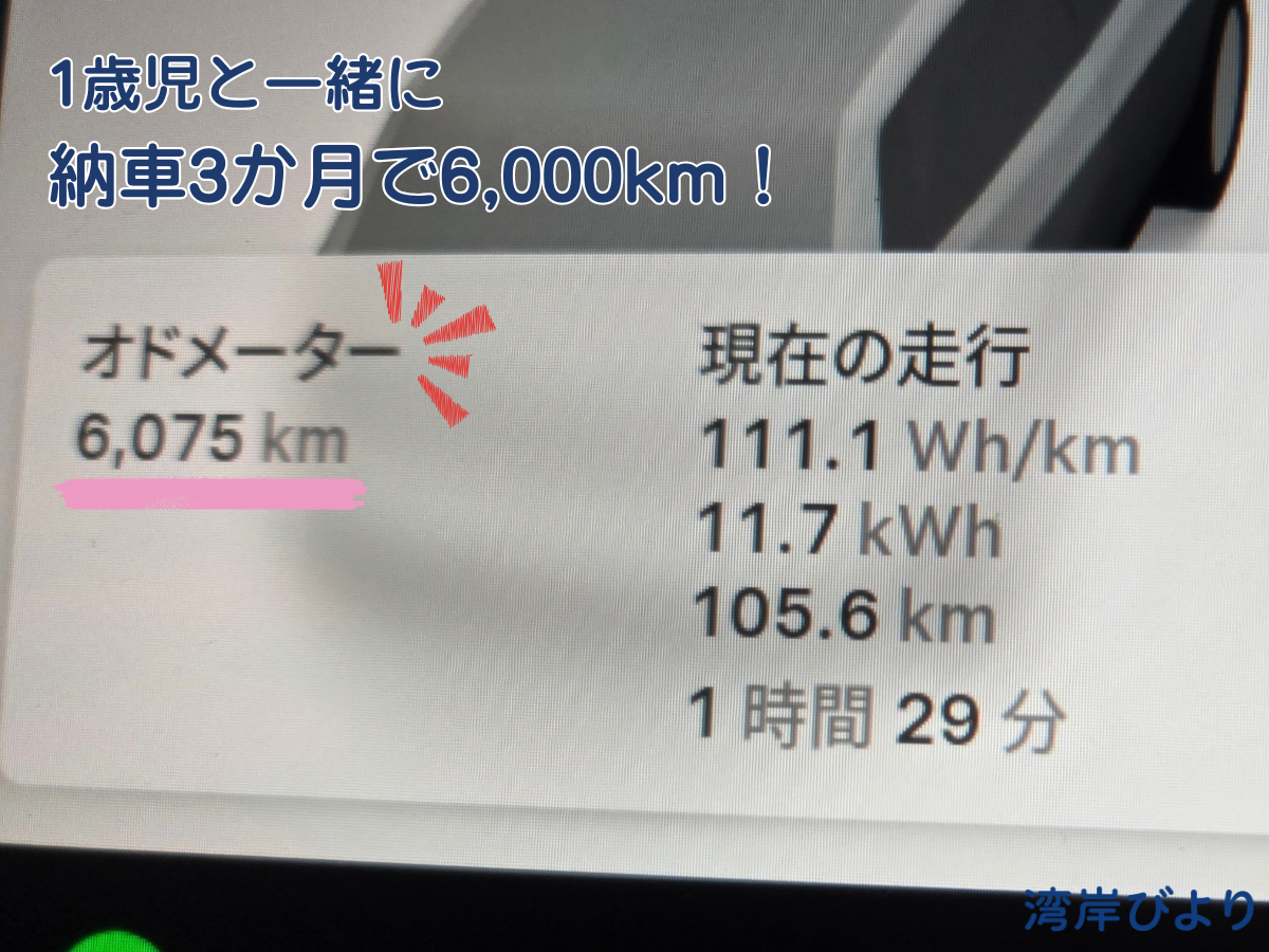 子連れ旅行で利用しているテスラModel 3