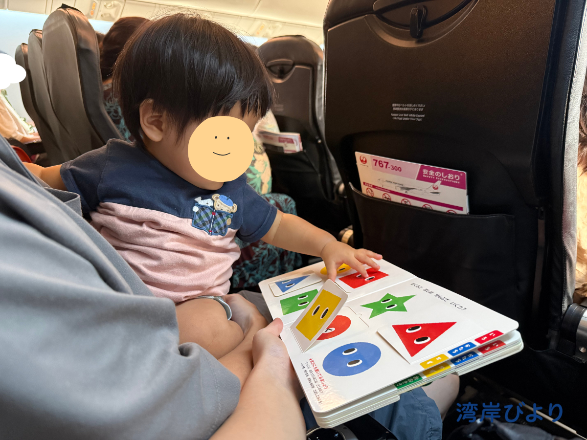JAL国内線の通路側座席で赤ちゃんを抱っこしている様子