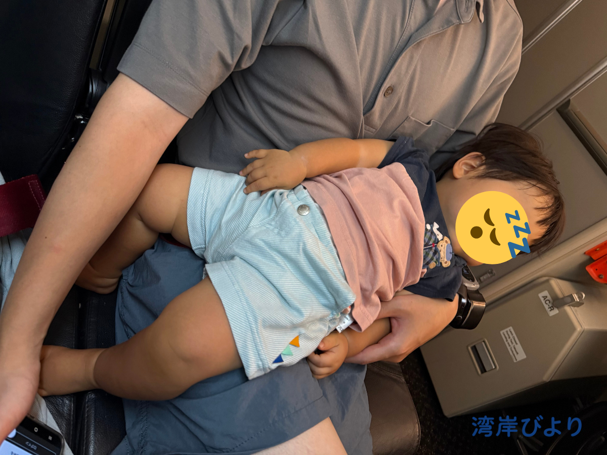 JAL国内線の後方座席で抱っこされながら眠る赤ちゃん